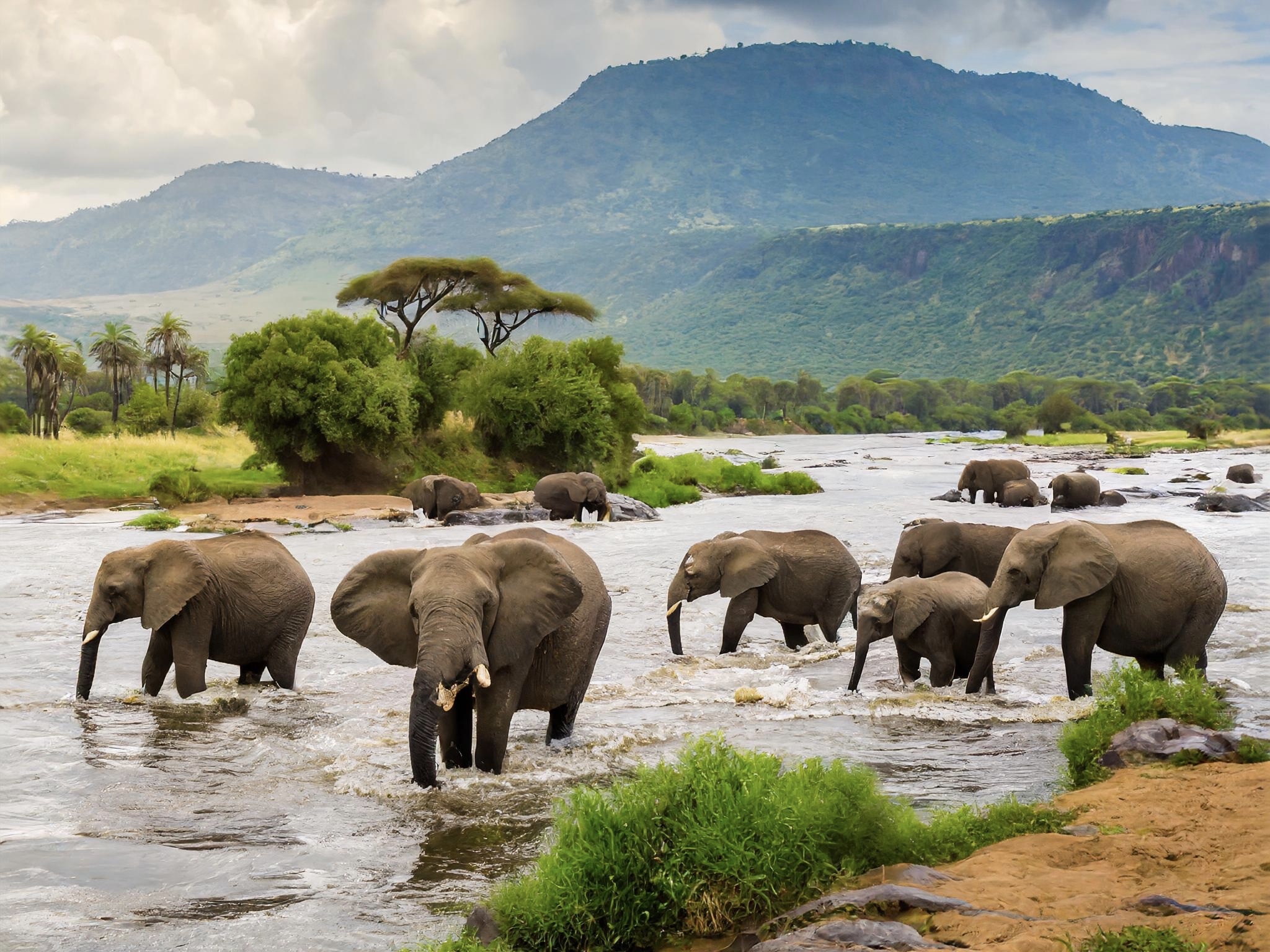 Best time to visit Uganda