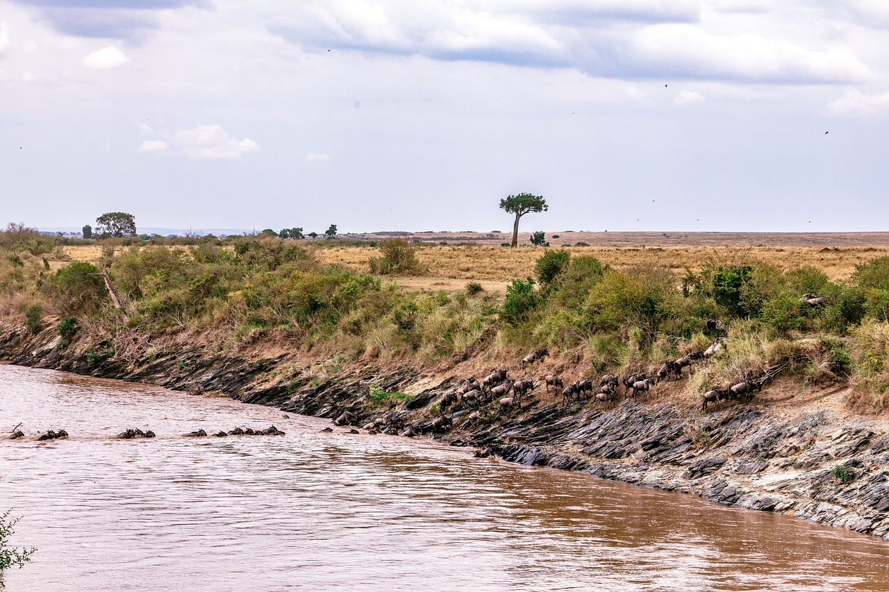 Explore Kenya