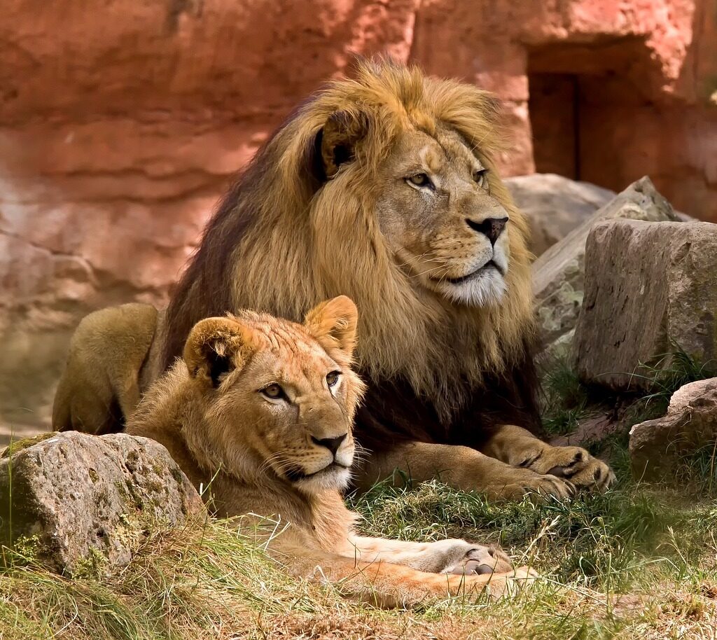 Explore Kenya