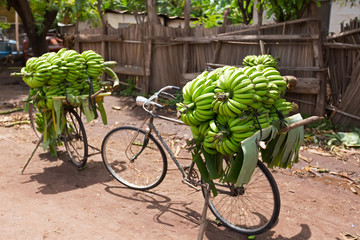 Arusha beyond the ordinary