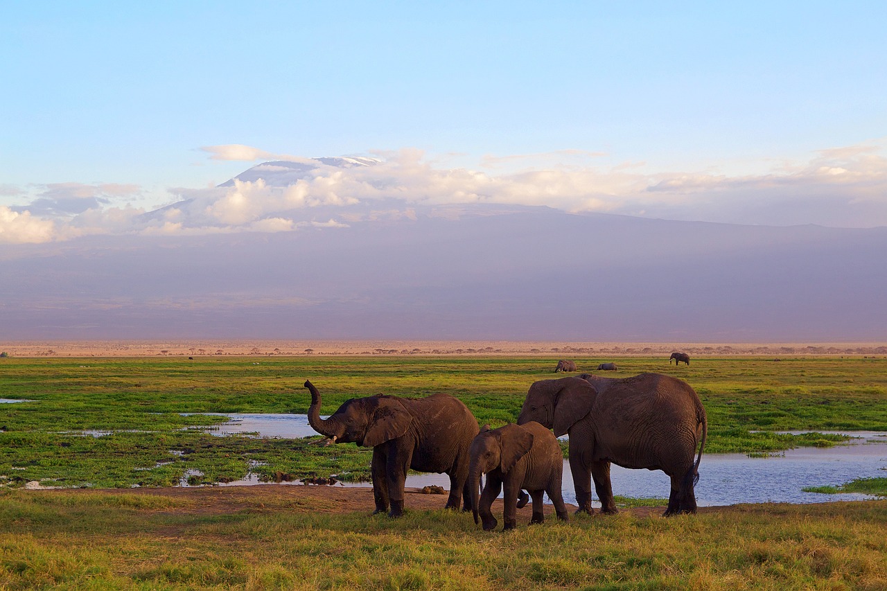 Northern Tanzania