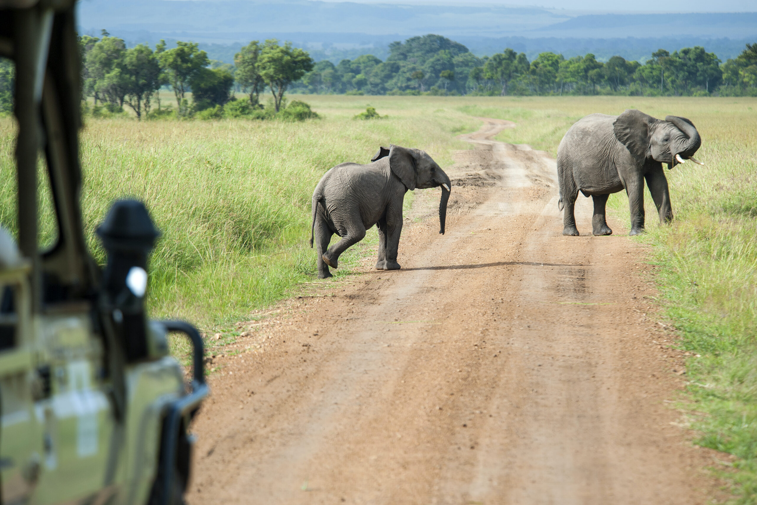 Budget Twin Migration Kenya