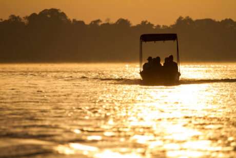 Safari in Nyerere National Park