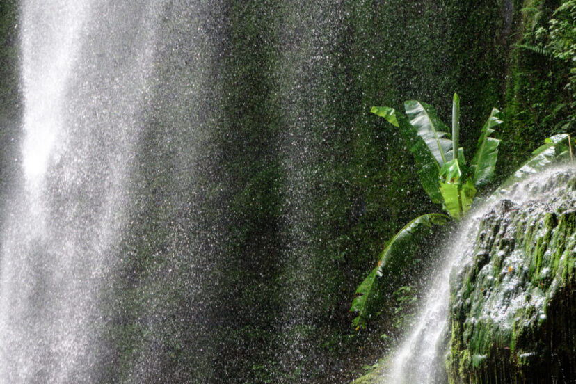 Arusha Day Trips