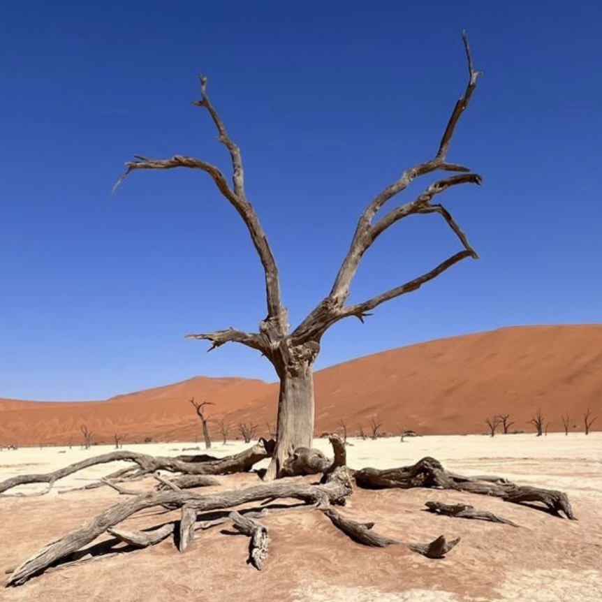 Top Things to Do in Namibia