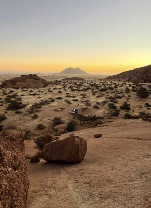 Best Safari Destinations Best Safari Destinations