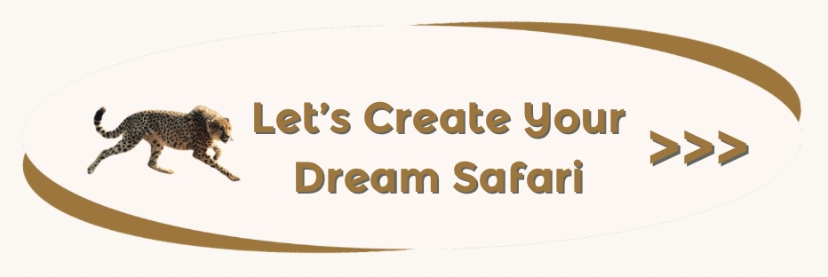 Dream