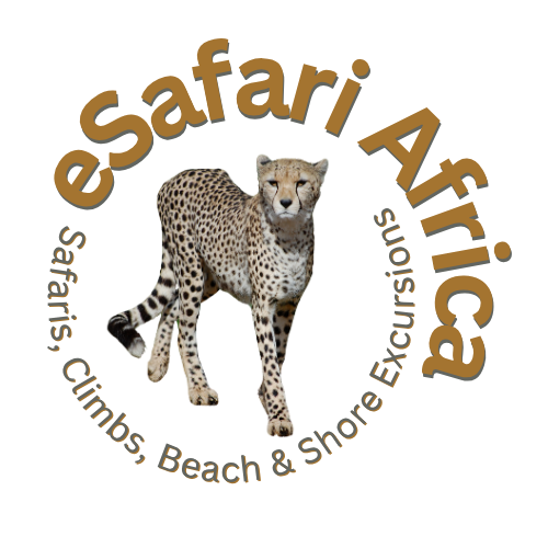 Logo eSafari Africa eSafari Africa