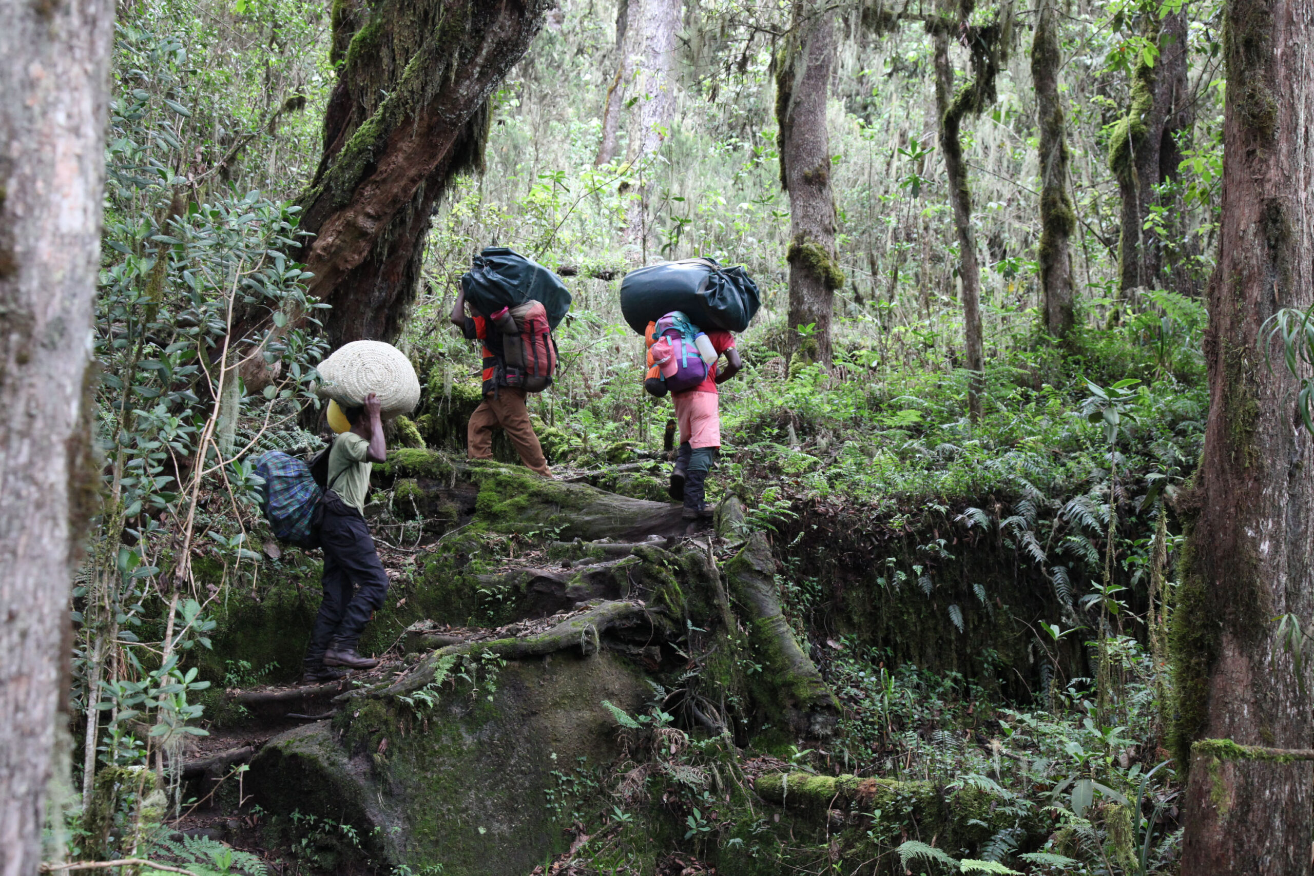 5 days Mount Kilimanjaro-Marangu