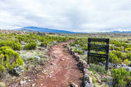 8 Days Kilimanjaro – Lemosho