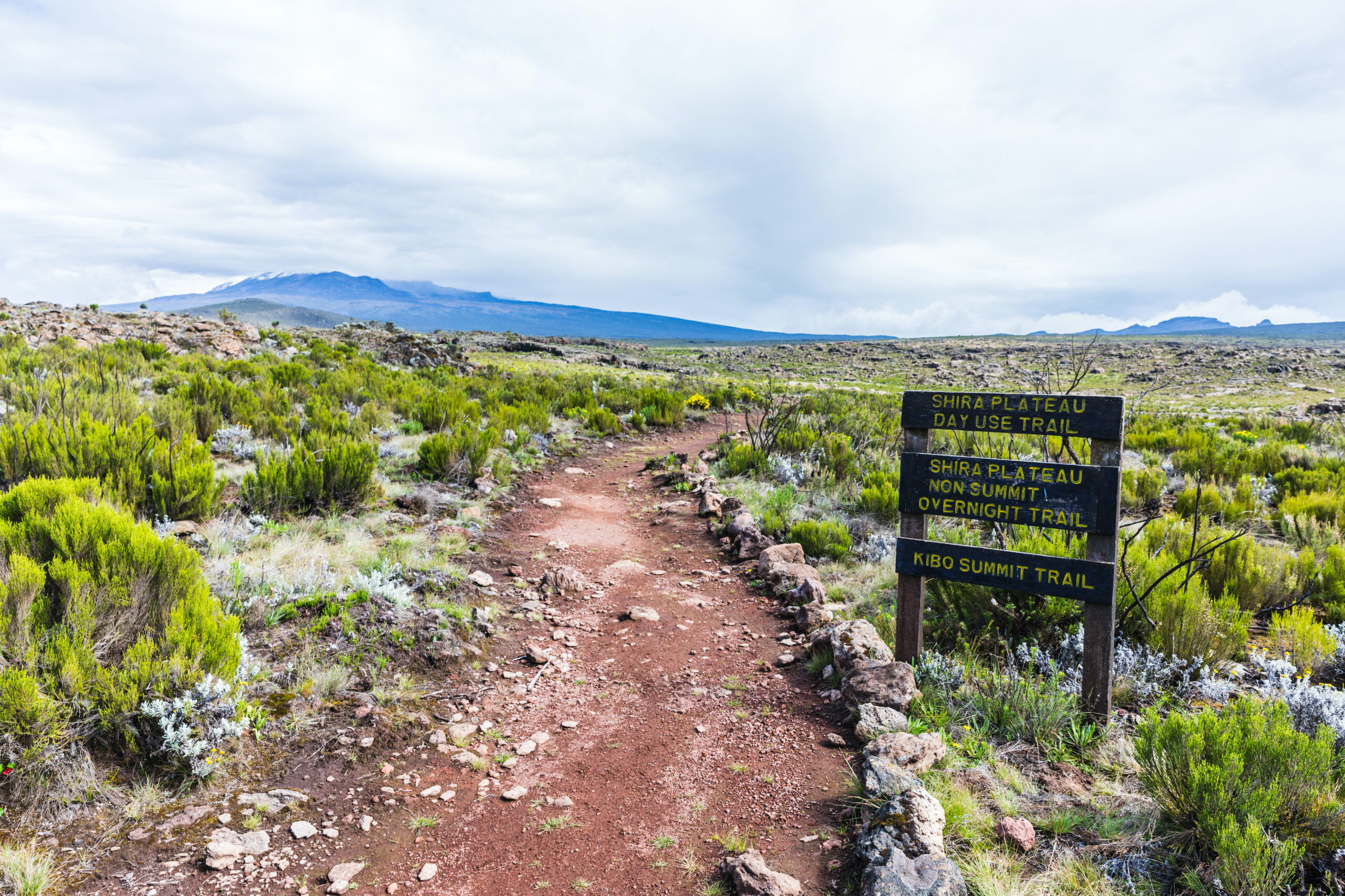 8 Days Kilimanjaro – Lemosho