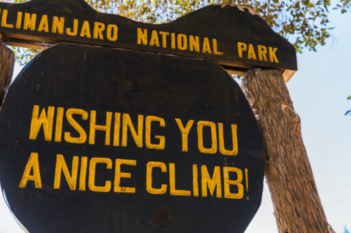 8 Days Kilimanjaro – Lemosho