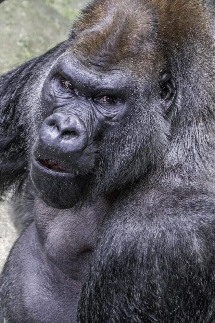 Rwanda Discover Rwanda