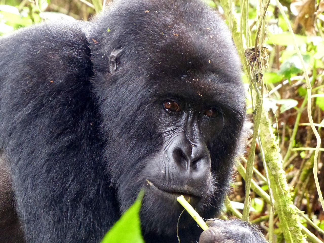 Rwanda2 Discover Rwanda