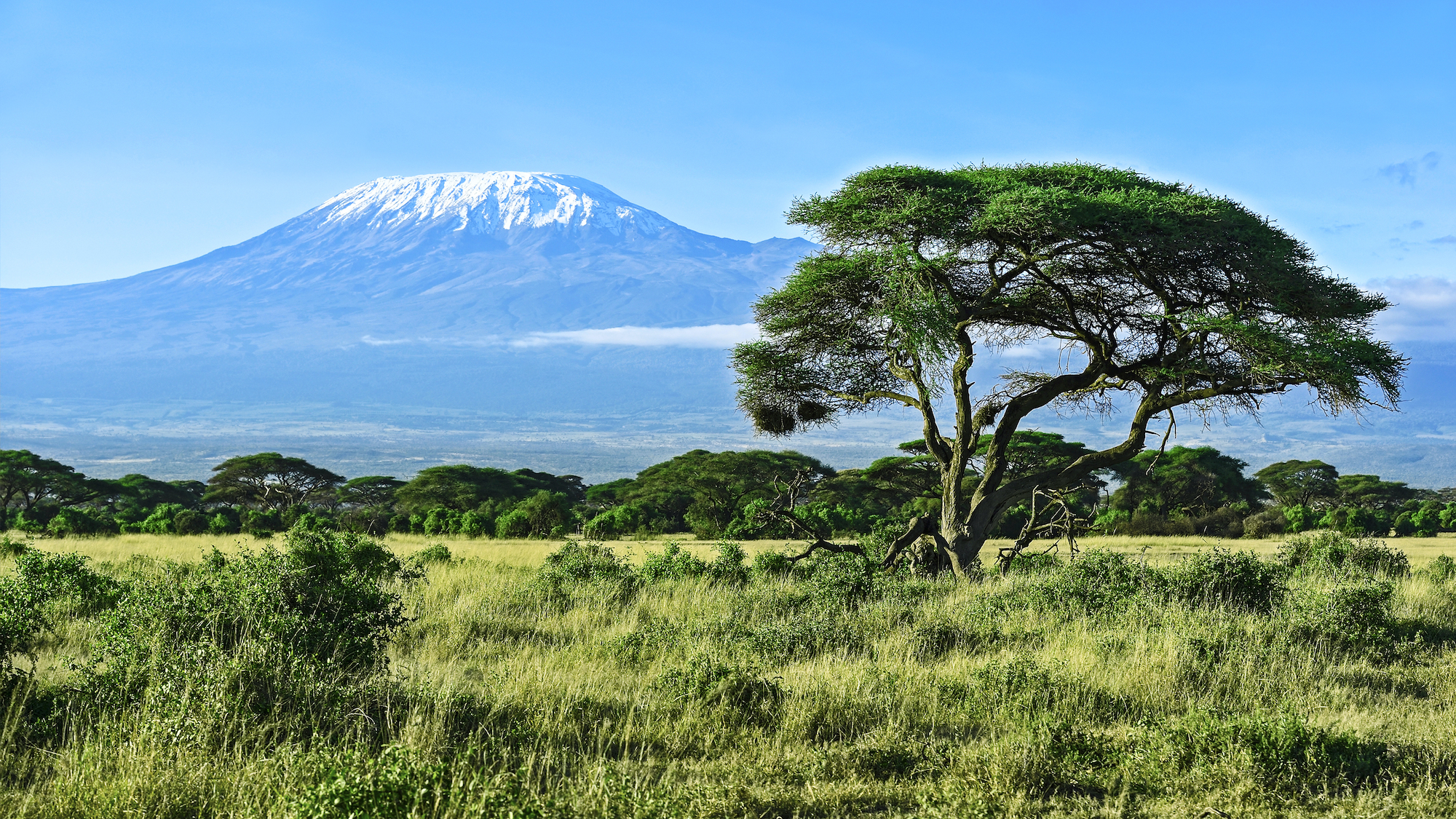 6 days Mount Kilimanjaro-Machame
