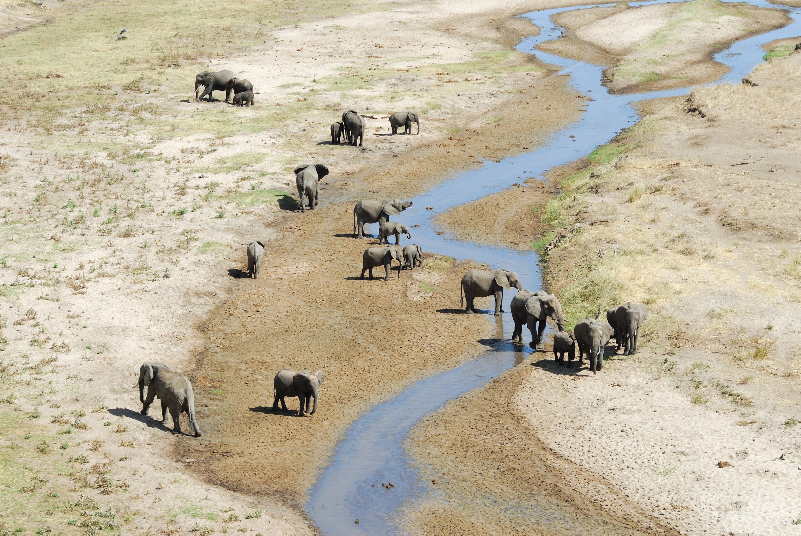 Comfortable safari Tanzania