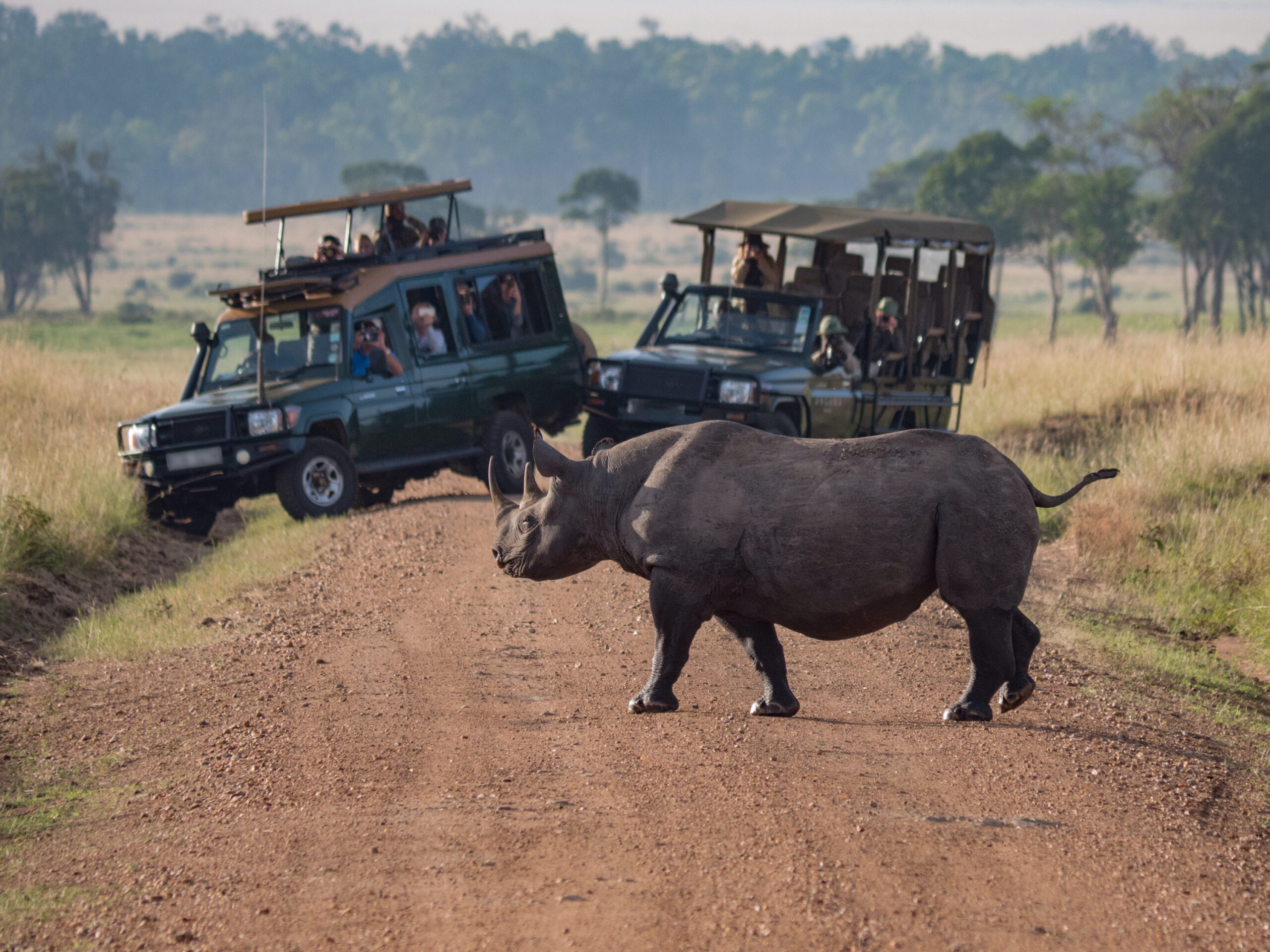 Cost of a Safari in Tanzania Cost of a Safari in Tanzania