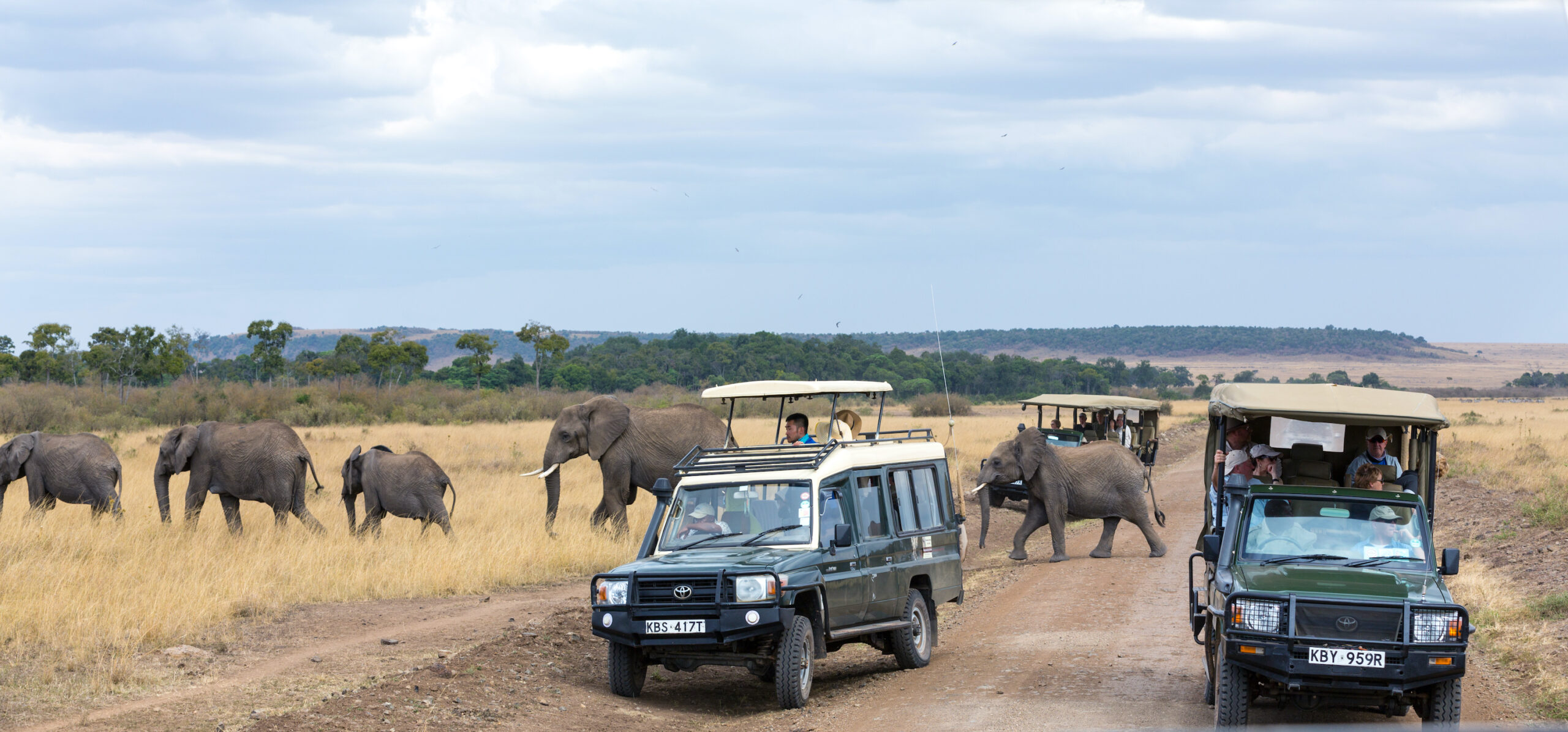 Your Stories, our Pride, reviews eSafari Africa
