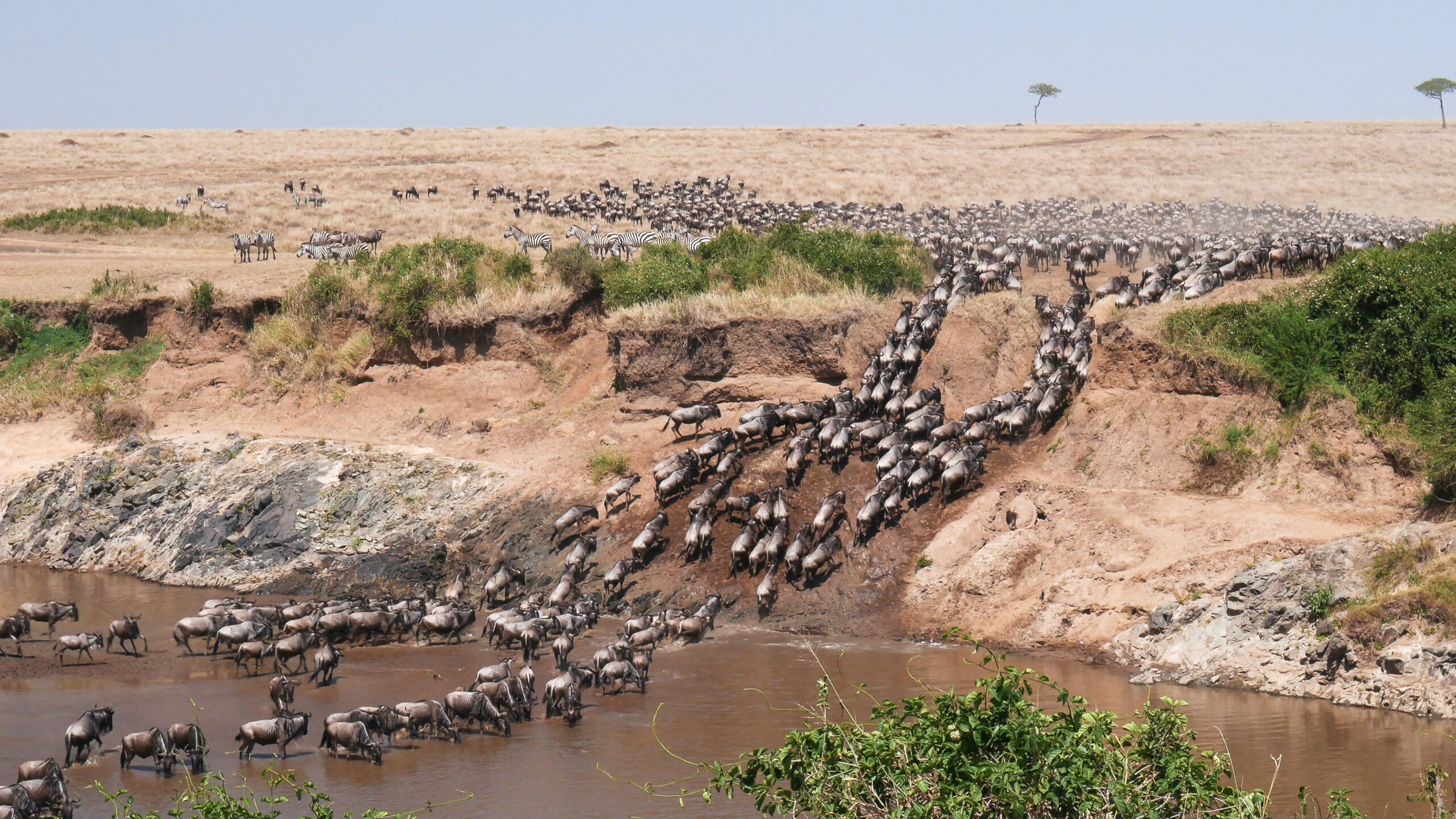 Accessible safaris Tanzania Accessible safaris Tanzania