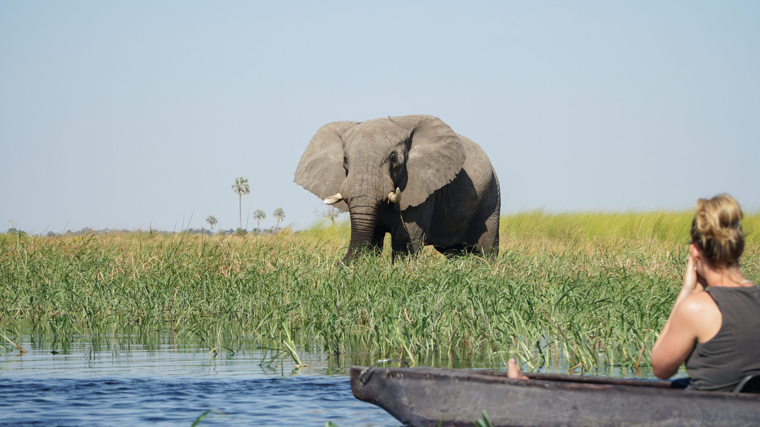 long safari Tanzania